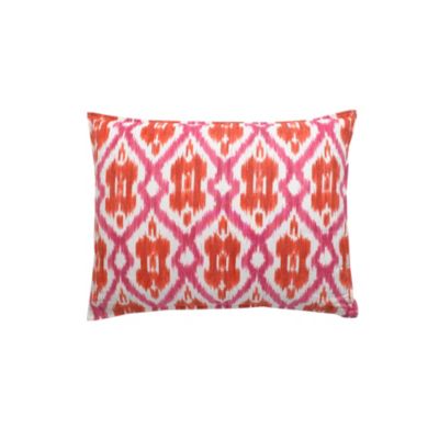 PREPPY IKAT DECORATIVE PILLOWS 18' SQUARE $49.99