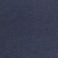 CORE NAVY