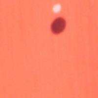 CORAL DOT