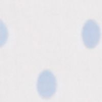 CLASSIC WHITE/SHIRT BLUE
