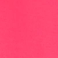 RASPBERRY SORBET