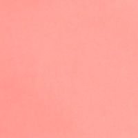 SCALLOP PINK
