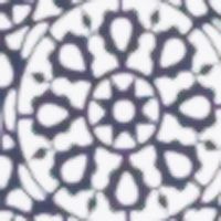 NAVY PRINT