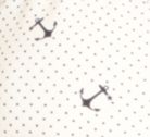 YACHTING NAVY/PAPYRUS