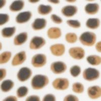 MASTERS BLACK/MULTI
