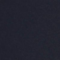 MASTERS NAVY