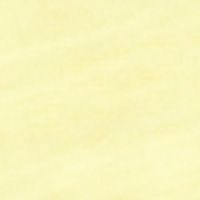 LEMON TONIC / MULTI