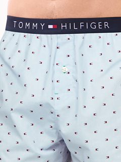 Allover Flag Print Woven Boxer — Ice 3