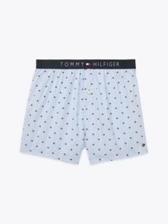 Allover Flag Print Woven Boxer — Ice 5