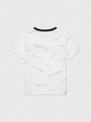 Signature Flag Stripe Logo T-Shirt