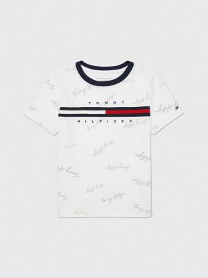 Signature Flag Stripe Logo T-Shirt