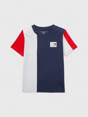 Tommy hilfiger colorblock t hot sale shirt