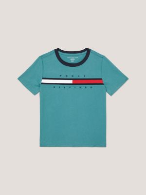 Tommy hilfiger logo flag best sale t shirt