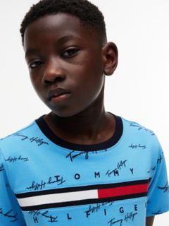 Kids' Signature Flag Stripe Logo T-Shirt — Frigid Blue 3