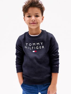 Tommy hilfiger badge sweatshirt sale