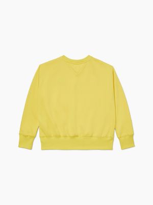 Tommy Hilfiger Womens Crew Neck Sweatshirt : : Clothing, Shoes &  Accessories