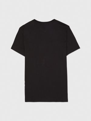 Tommy hilfiger stripe signature on sale tee