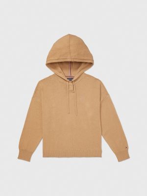 Tommy hilfiger discount hoodie 176