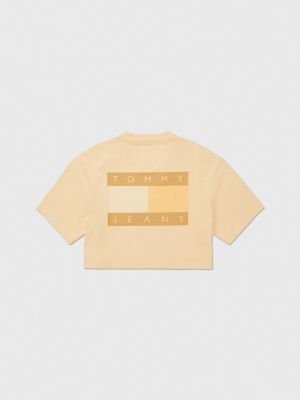 tommy hilfiger centre flag t shirt