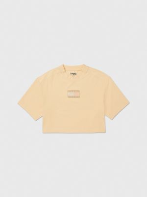 Cropped Flag Graphic T Shirt