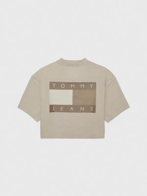Cropped Flag Graphic T-Shirt, Fresh Clay