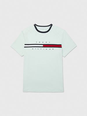 opskrift sammen plantageejer Signature Stripe T-Shirt | Tommy Hilfiger USA