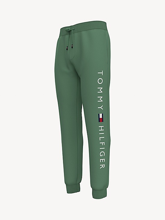 Tommy Hilfiger Vêtements Pantalons & Jeans Pantalons Joggings Jogging Essential 