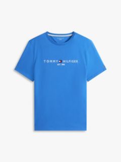 Embroidered Tommy Logo T-Shirt — Dazzling Blue 5