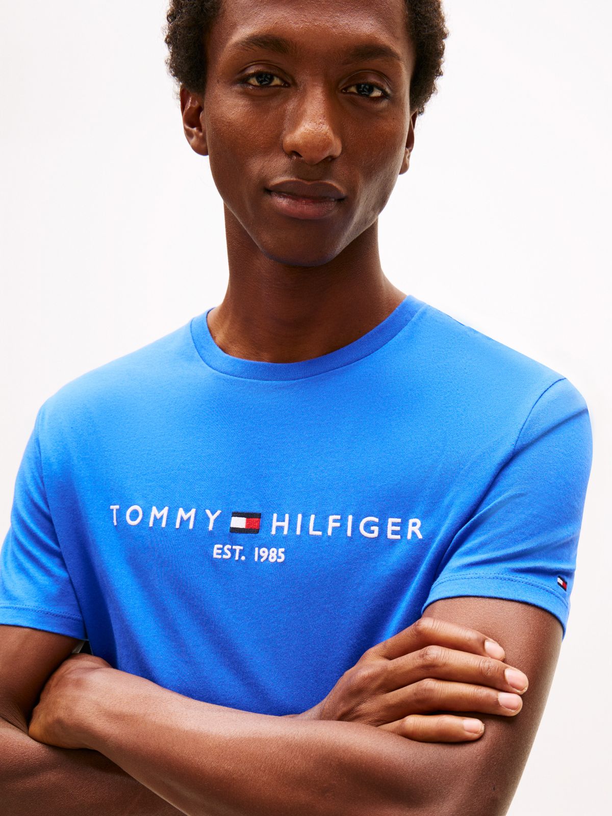 Embroidered Tommy Logo T-Shirt — Dazzling Blue