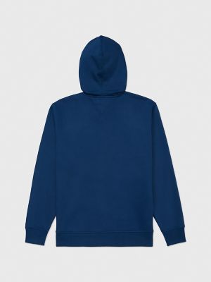 Tommy hilfiger store flag pipe hoodie