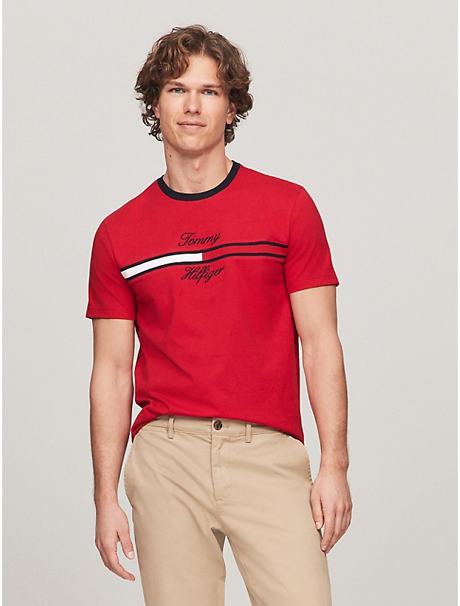 Camiseta Tommy Hilfiger Bold Global Stripe Tee - Oficial Mens