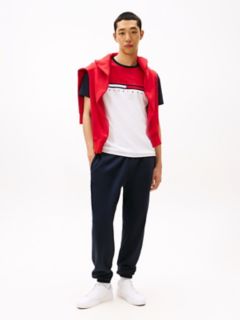 Colorblock Flag Stripe Logo T-Shirt — Colorblock Multi 2