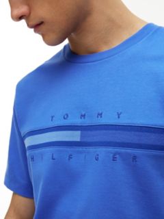 Tonal Flag Logo T-Shirt — Dazzling Blue 3