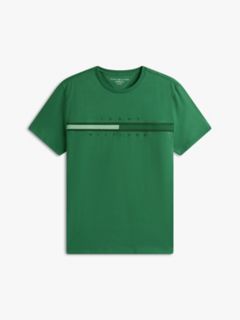Tonal Flag Logo T-Shirt — Deep Evergreen 5