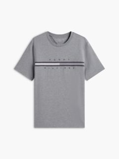 Tonal Flag Logo T-Shirt — Grey Heather 5