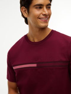 Tonal Flag Logo T-Shirt — Burgundy 3