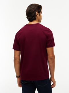 Tonal Flag Logo T-Shirt — Burgundy 4