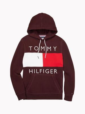 Logo Hoodie | Tommy Hilfiger