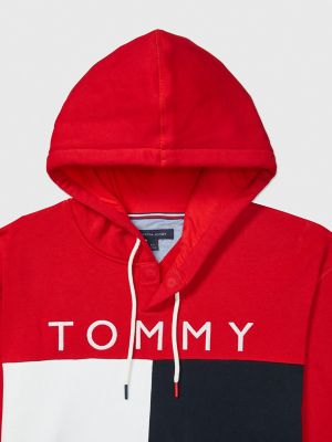 Logo Hoodie Tommy Hilfiger USA