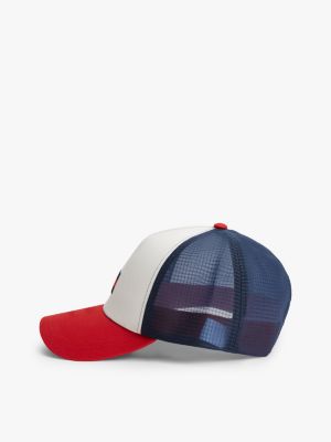 Мужские джинсы Tommy Hilfiger Tommy Jeans Badge Logo Trucker Cap — фото 3