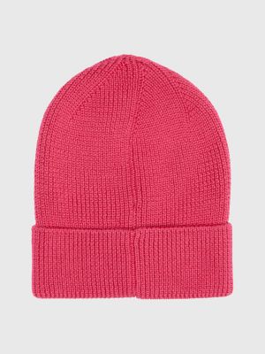 Tommy hilfiger best sale big flag beanie