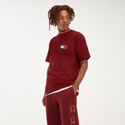 tommy hilfiger crest flag tee