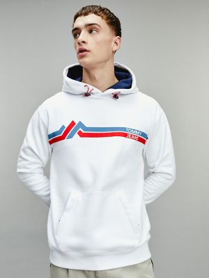 tommy jeans mountain logo hoodie