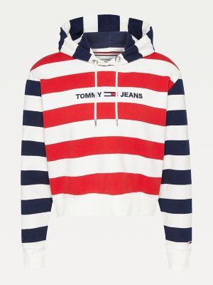 tommy hilfiger flag stripe hoodie