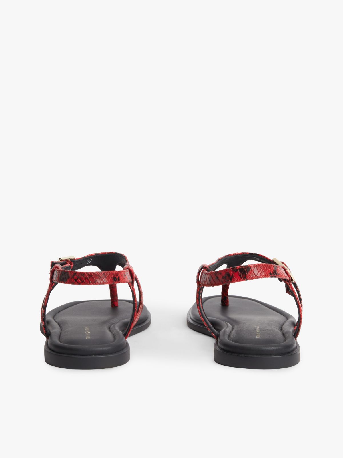 Snake-Embossed Buckled Leather Sandal — Red Snake
