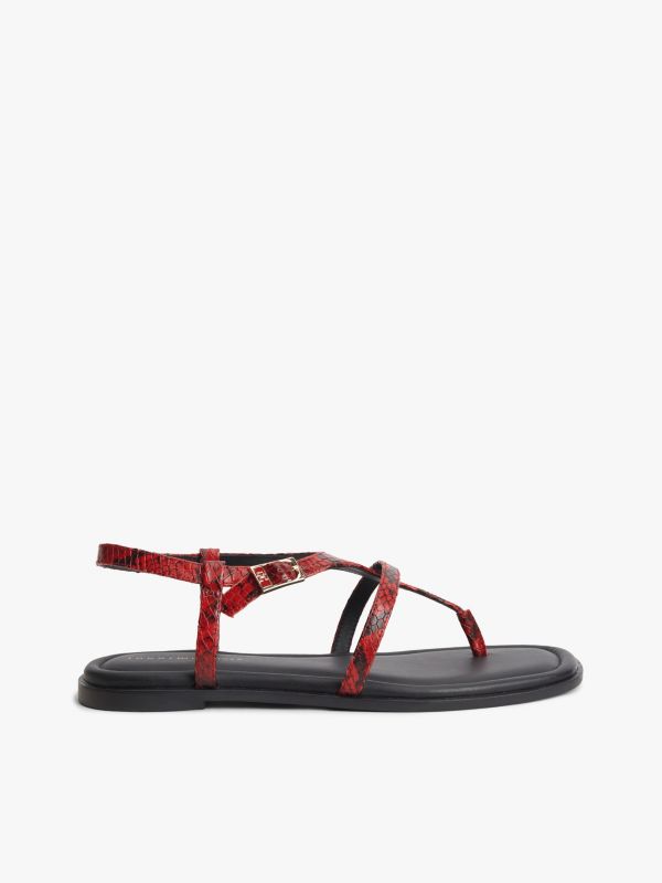 Snake-Embossed Buckled Leather Sandal — Red Snake