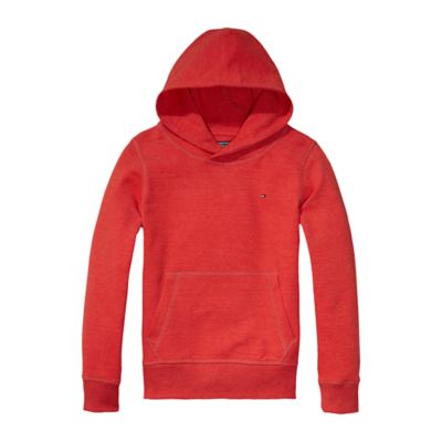 hoodie tommy hilfiger sale