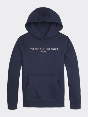 tommy hilfiger hoodie for kids 