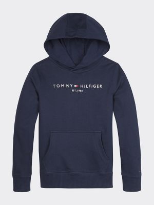 tommy hilfiger hoodie for boys