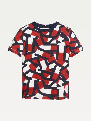 tommy hilfiger boys t shirt